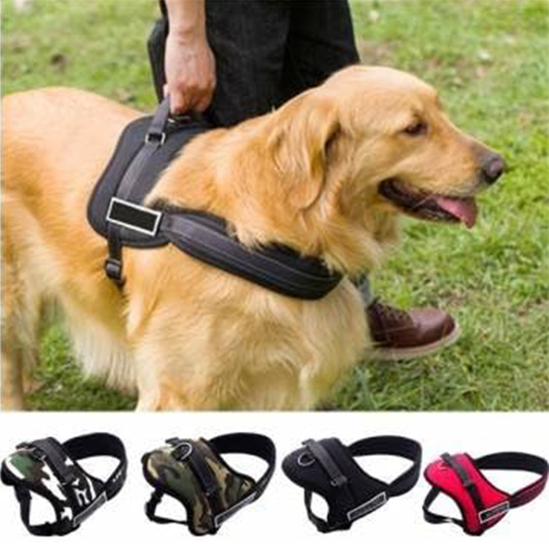 Pechera para mascota