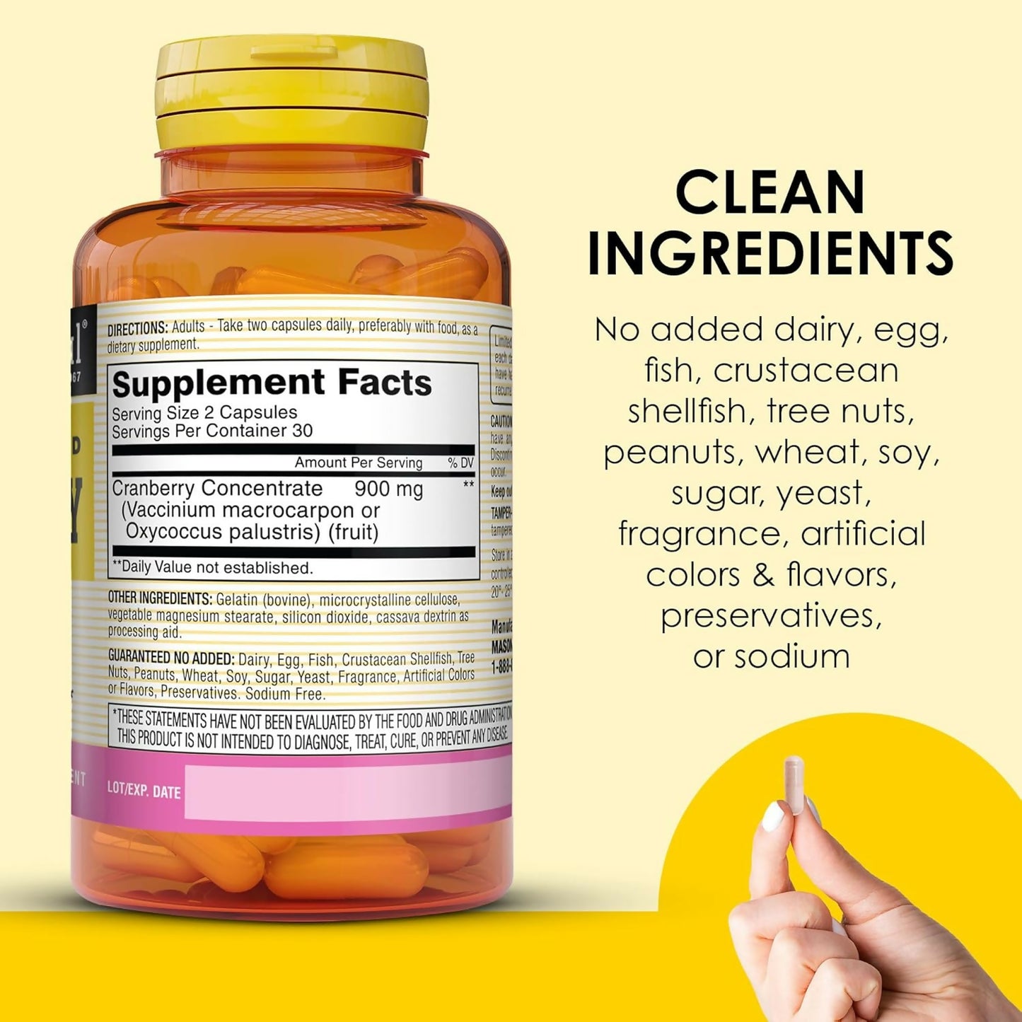 81u2UXt8HfL._AC_SL1500_