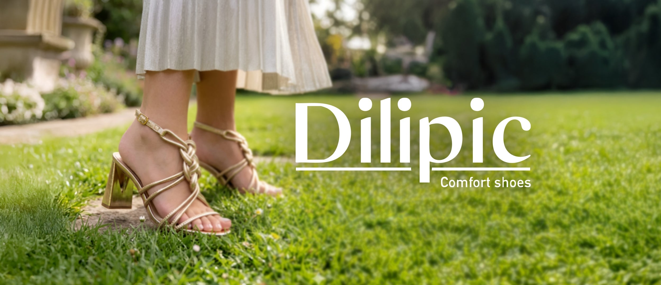 DILIPIC