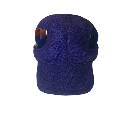Gorras para Perritos de Algodón y Fieltro – Diseños Modernos