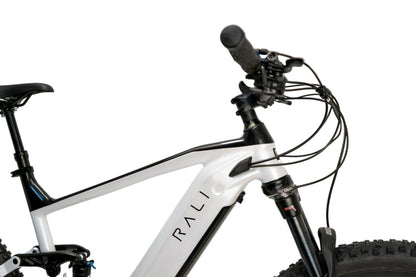 Bicicleta Eléctrica E-PRO DS