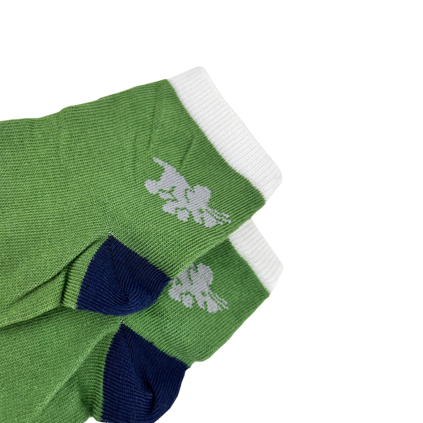 Punteras Dino 3 pack para niño color multi