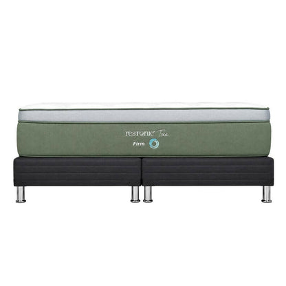 Cama Restonic Tree Firm