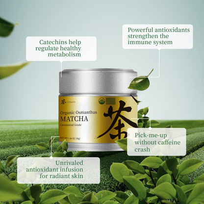 Polvo de Té Verde Matcha Grado Ceremonial Chaism