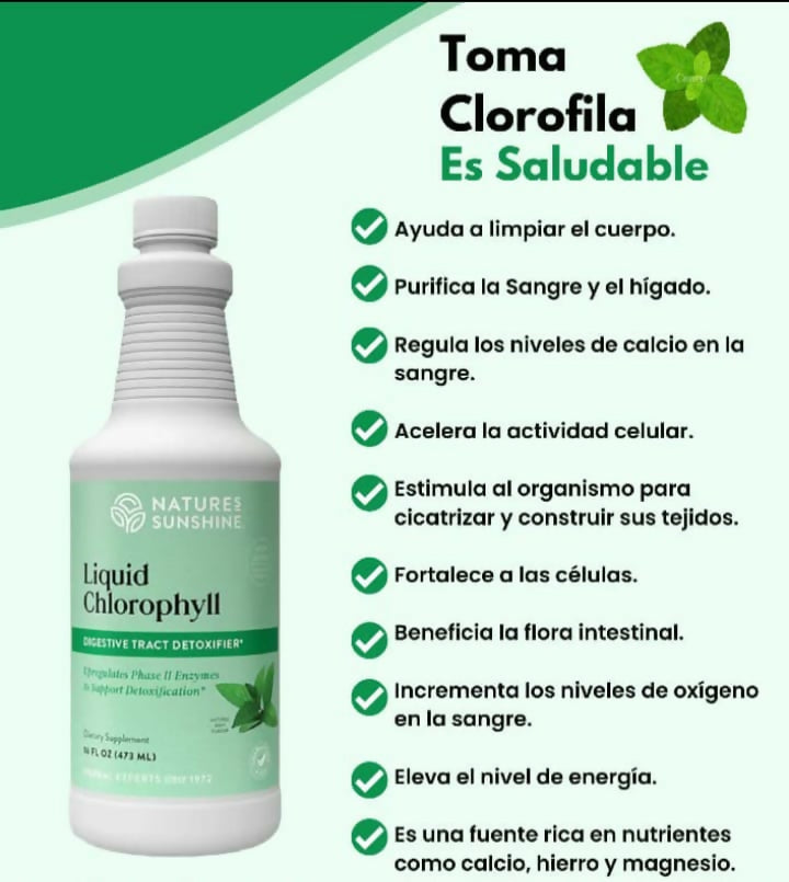 CLOROFILA LIQUIDA