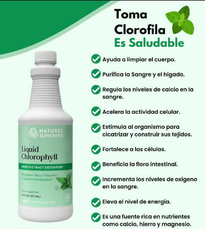 CLOROFILA LIQUIDA