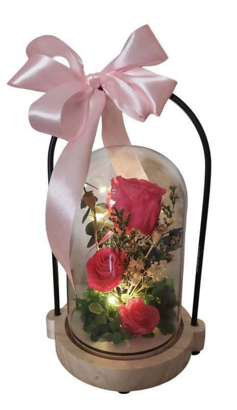 DOMO MINI ROSA CON LUZ