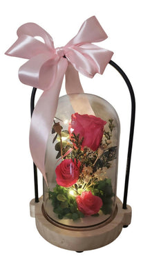 DOMO MINI ROSA CON LUZ