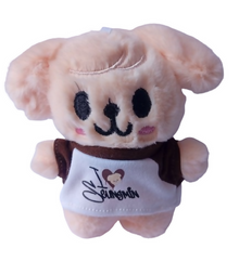 STRAYKIDS - SKZOO LLAVERO CON SUETER CON NOMBRE