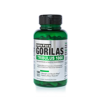 Gorilas Tribulus 1