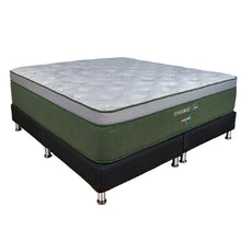 Cama Restonic Tree Double Rest