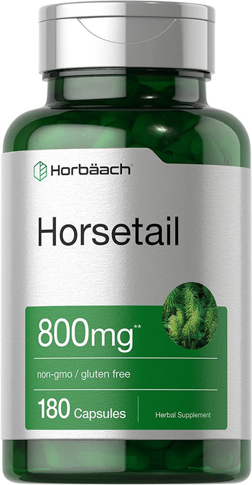 Cola de caballo Horbaach