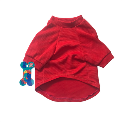 Camisitas Artesanales para Perritos – ¡Colores, Estilos y Mucho Amor!