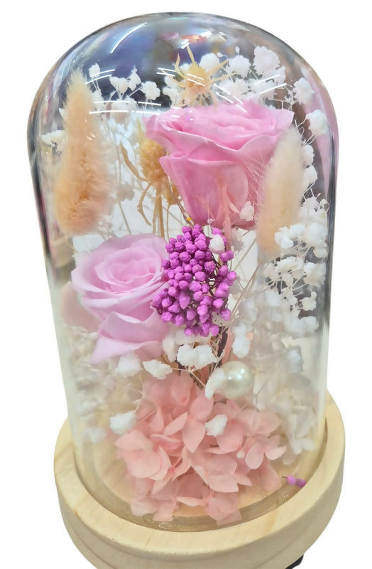 DOMO MINI ROSAS CON LUZ