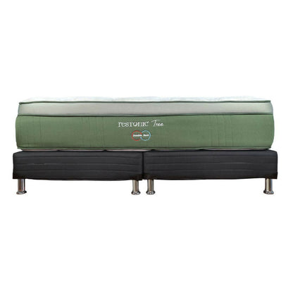 Cama Restonic Tree Double Rest