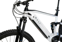 Bicicleta Eléctrica E-PRO DS