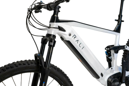 Bicicleta Eléctrica E-PRO DS