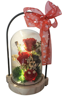 DOMO MINI ROSA CON LUZ