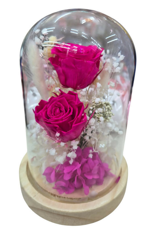 DOMO MINI ROSAS CON LUZ