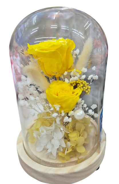 DOMO MINI ROSAS CON LUZ