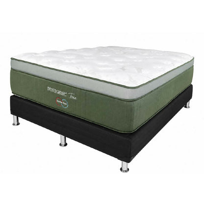 Cama Restonic Tree Double Rest