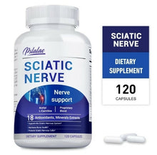 Sciatic Nerve / NERVIO CIÁTICO