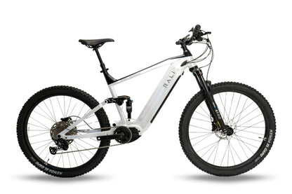 Bicicleta Eléctrica E-PRO DS