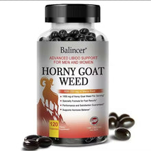 WhatsApp Image 2025-08-14 at 10.14.42 PM