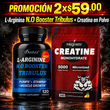 L-Arginina N.O Tribulus + Creatina Monohidratada