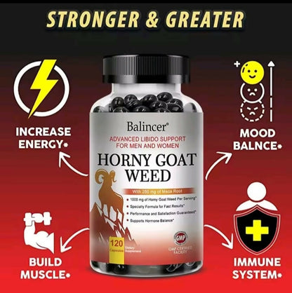 WhatsApp Image 2025-08-14 at 10.14.42 PM(1)