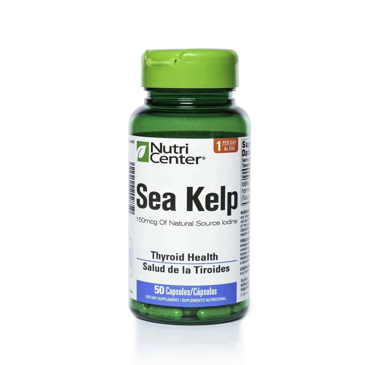Sea Kelp 1