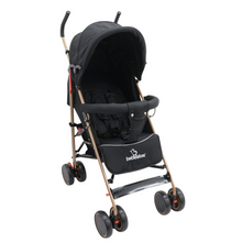 Coche paseador para bebé – Bebesitos