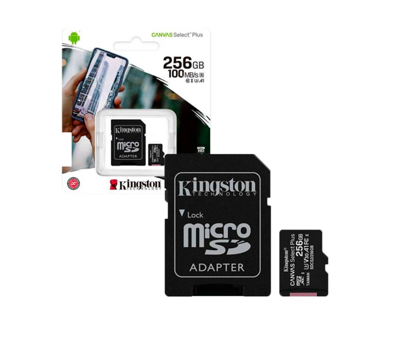 Memoria micro SD 256GB